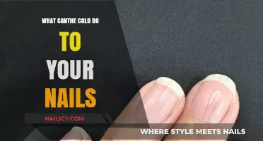Chilling Effects: How Cold Weather Impacts Your Nail Health