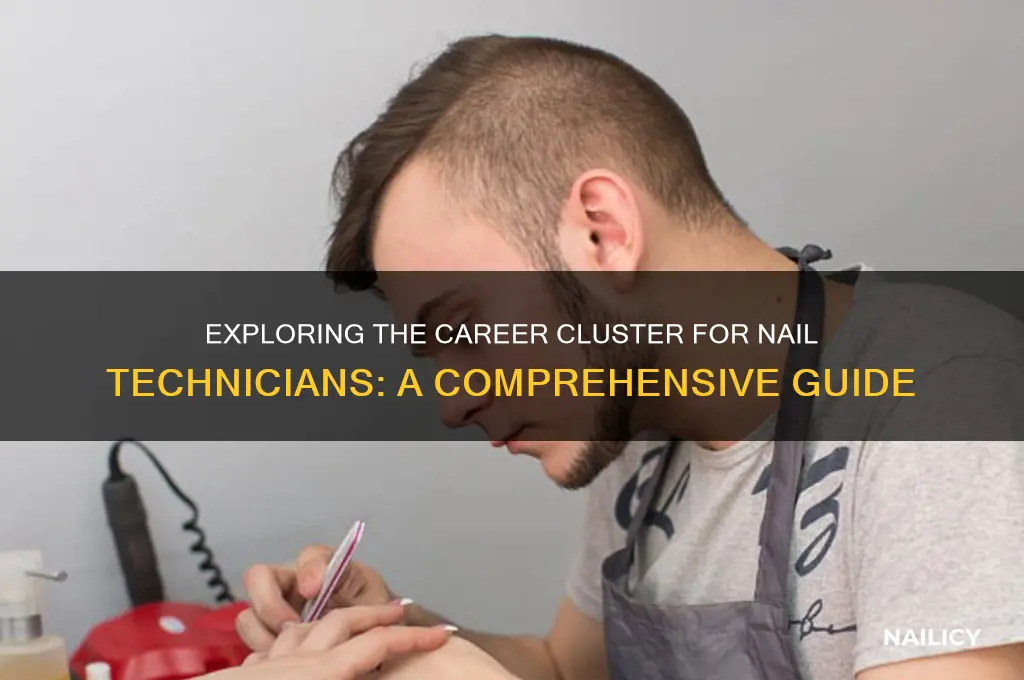what career cluster is a nail technician in