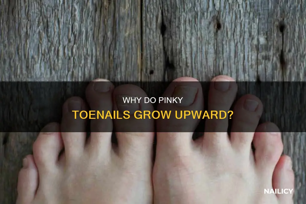 what cause pinkie toe nails go grow up