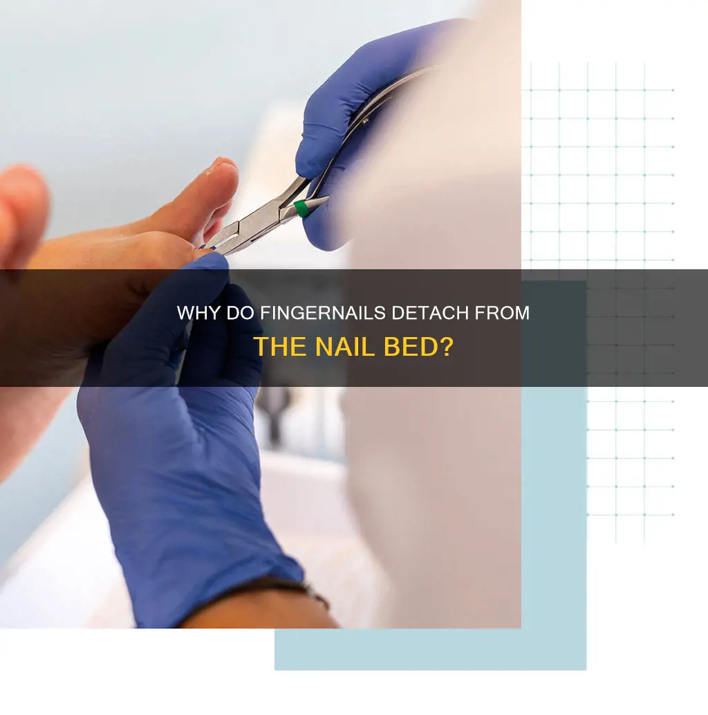 what causes finger nails to detach from their bed