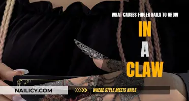 How Your Nails Grow Like a Claw