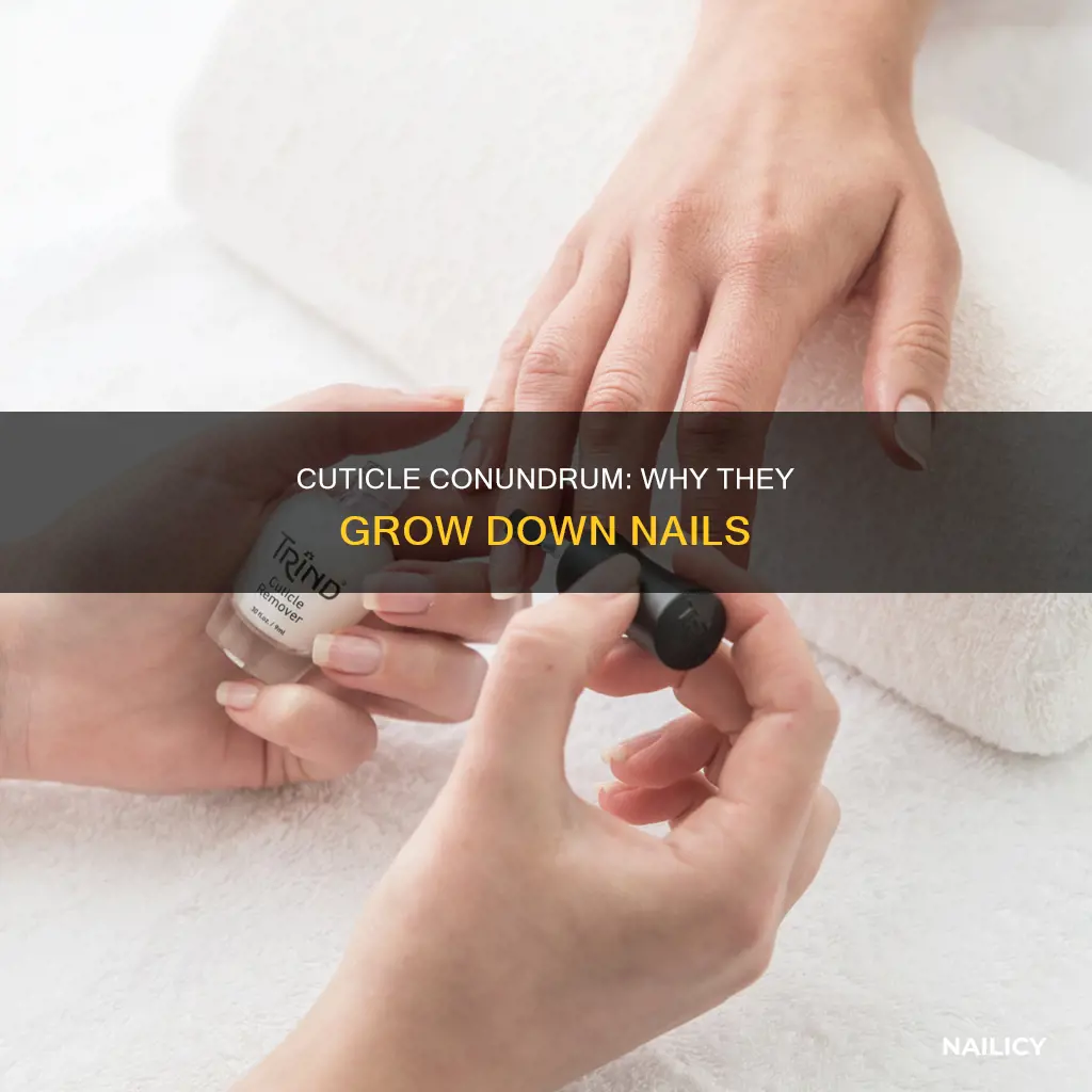 what causes my cuticles to grow down my nails