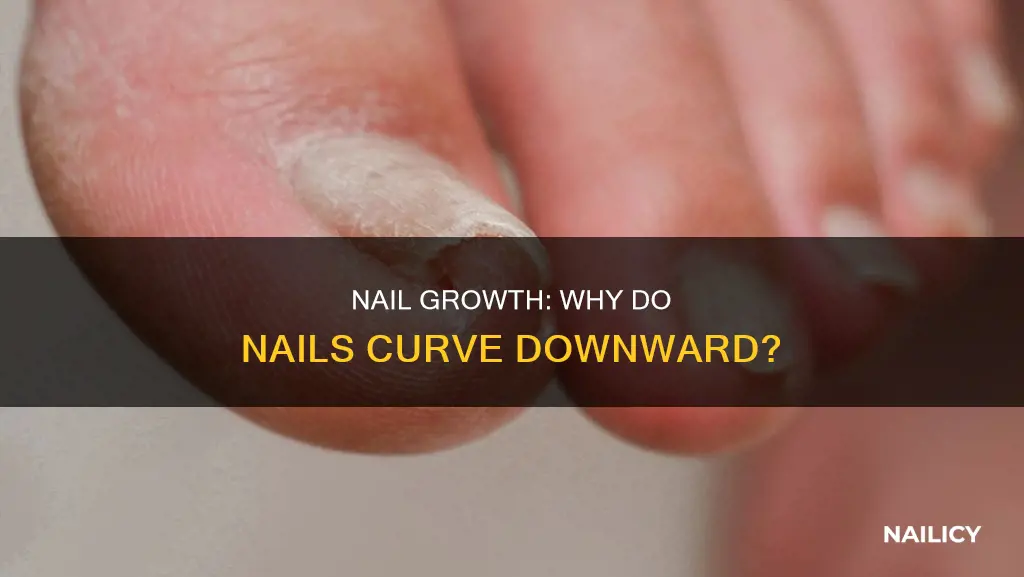 what causes my nails to grow downward