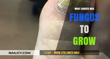 Understanding Nail Fungus Growth: Causes and Triggers