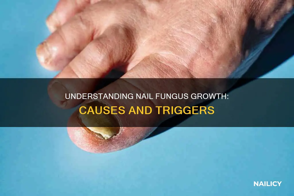 what causes nail fungus to grow