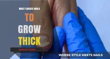 Why Do Nails Grow Thick?