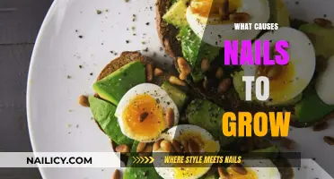 How Nails Grow: Understanding the Science