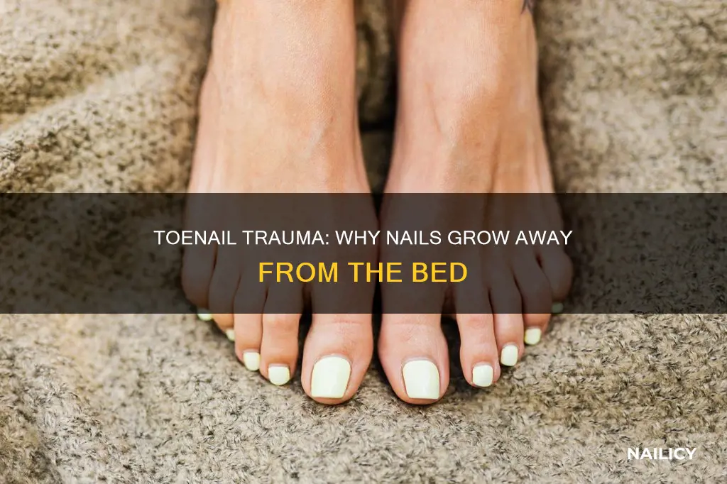 what causes toenails to grow away from the nail bed