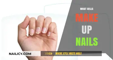 Understanding Nail Composition: The Cells Behind Your Fingertips' Strength