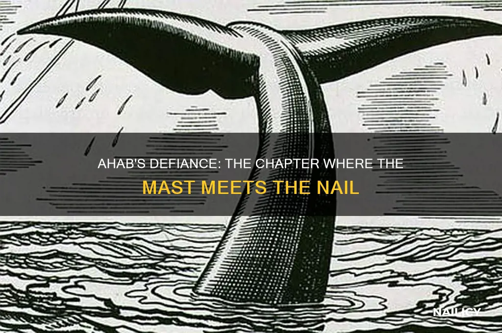 what chapter did ahab nail to the mast