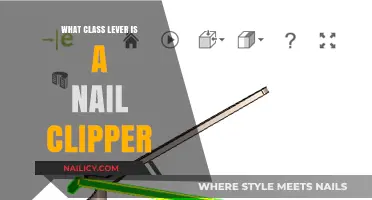 Nail Clippers: Understanding the Lever Class in This Everyday Tool