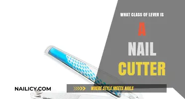 Understanding Nail Cutters: A Class 2 Lever Explained Simply