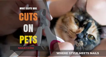 How to Stop Nail Bleeding in Pets