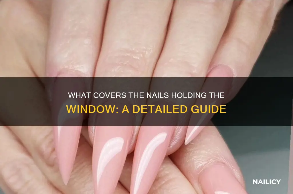 what cobers the nails holding the window