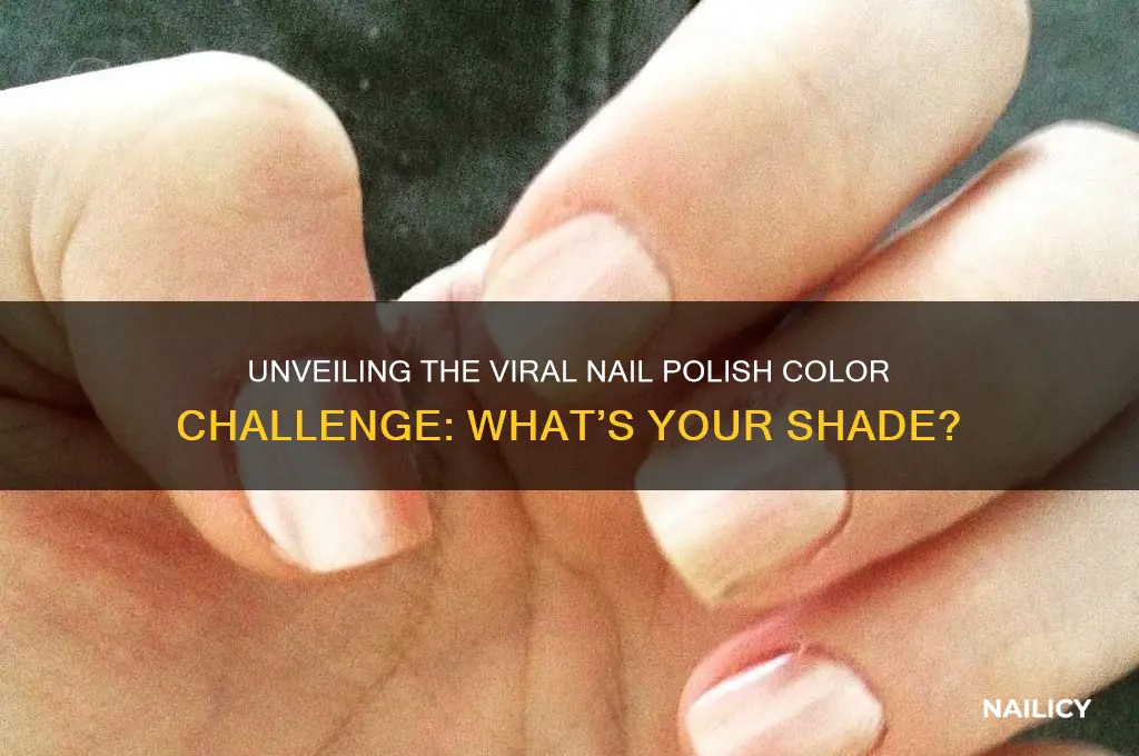 what color is the nail polish challenge