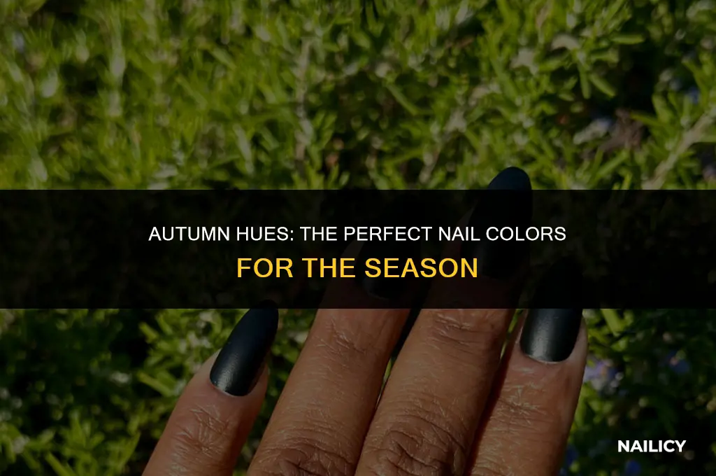 what colour nails for autumn