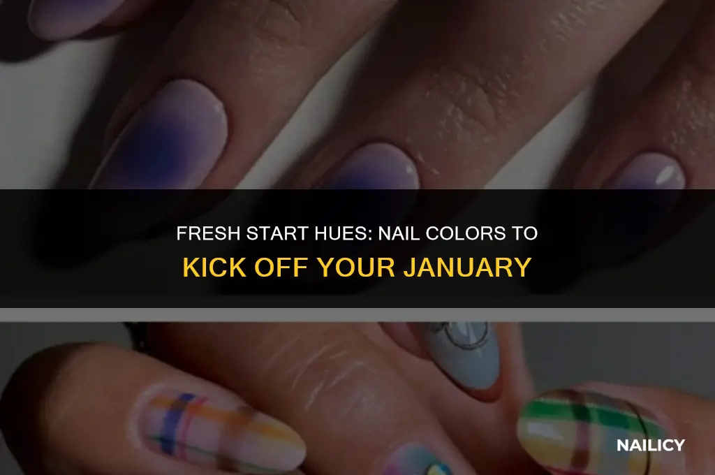 what colour nails for january