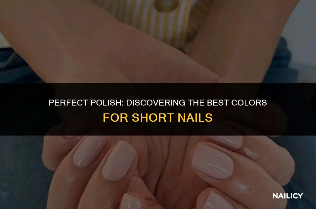 what colour suits short nails