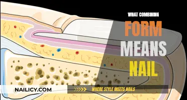 The Science of Nails: Exploring Combining Forms