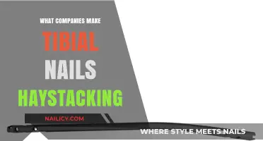 Top Companies Manufacturing Intramedullary Nails for Tibial Fractures