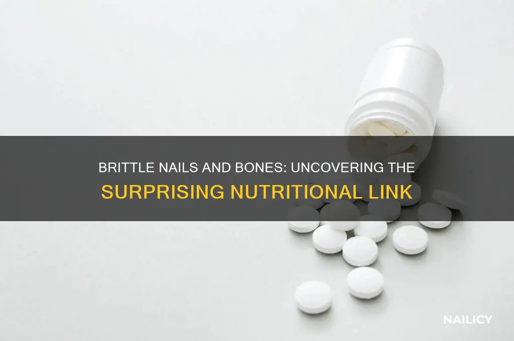 what connection have brittle nails and bones have