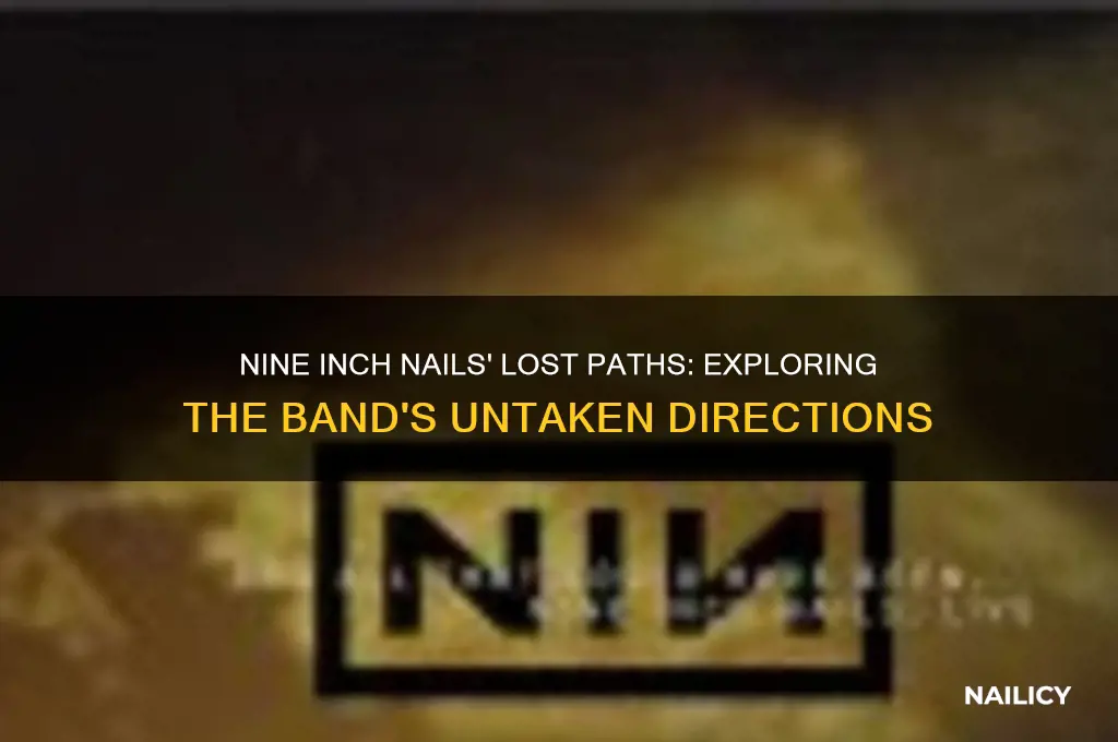 what could have been nine inch nails