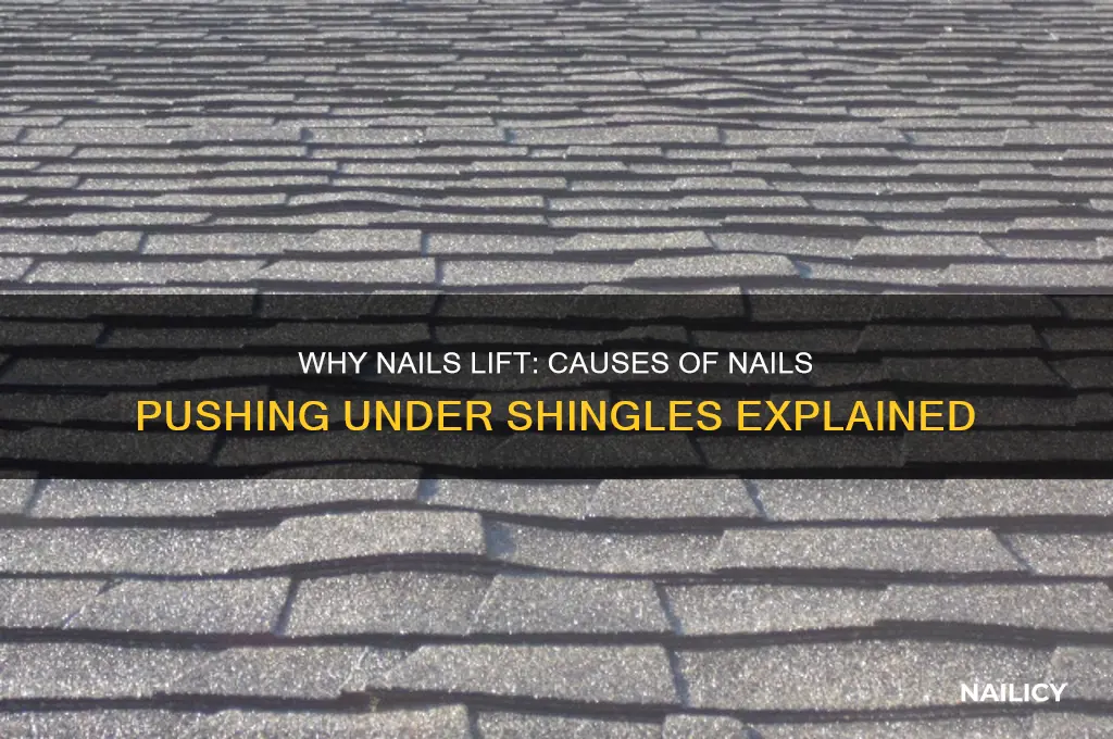 what cuases nails to push up under shingle