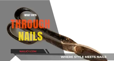 Power Tools That Cut Through Nails