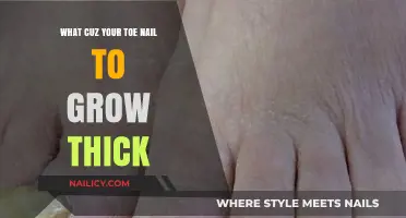 Why Do Toenails Grow Thick?