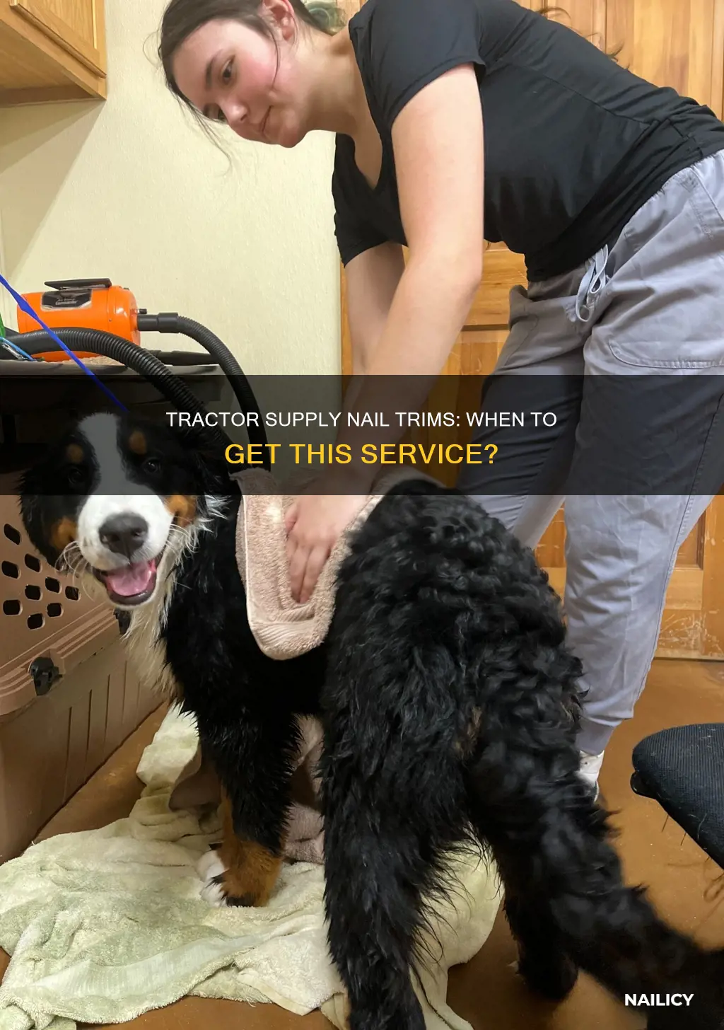 what day does trctor supply do nail trims