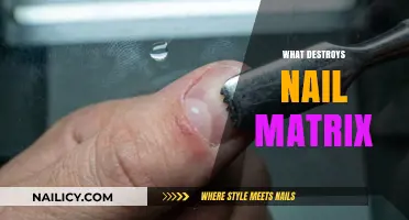 Unveiling the Culprits: What Destroys Your Nail Matrix?