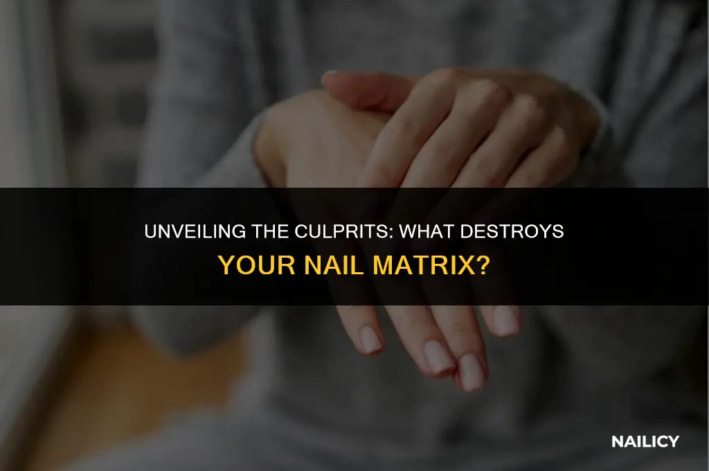 what destroys nail matrix