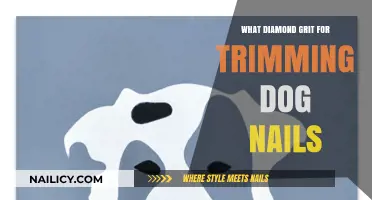 Diamond Dog Nail Trimming: Choosing the Right Grit