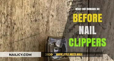 Ancient Grooming Secrets: How Humans Trimmed Nails Before Nail Clippers