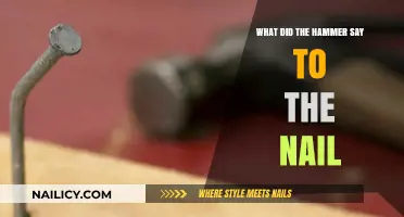 Hammer's Witty Remark to the Nail: A Hilarious Tool Talk