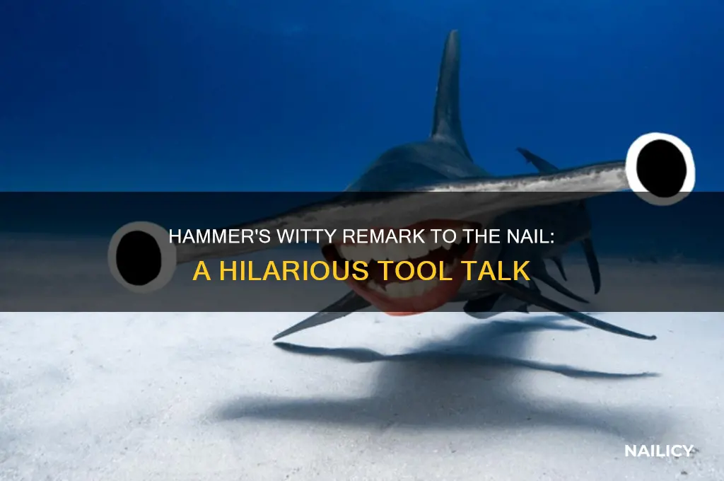 what did the hammer say to the nail
