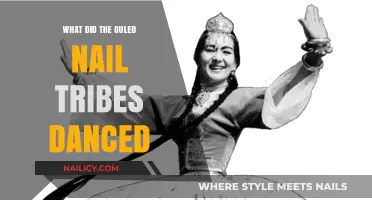 The Ouled Nail Tribes' Dance: A Cultural Exploration of Movement and Tradition