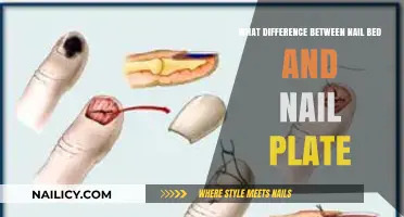 Nail Bed vs. Nail Plate: Understanding the Key Differences