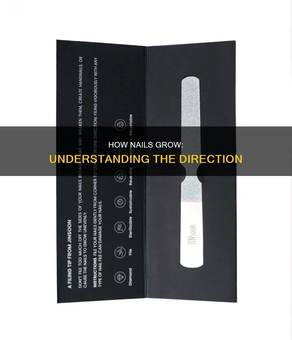 what direction do nails grow