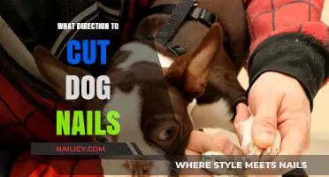 Trimming Dog Nails: The Right Direction