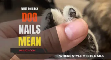 Unraveling the Mystery: Black Dog Nails and Their Significance