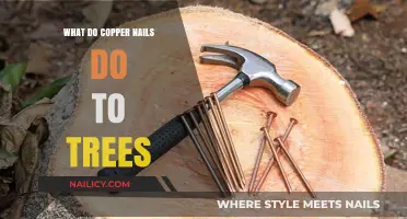 How Copper Nails Affect Trees: Benefits, Risks, and Best Practices