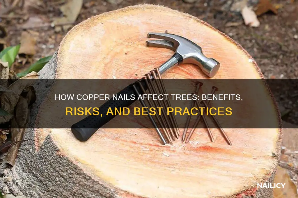 what do copper nails do to trees
