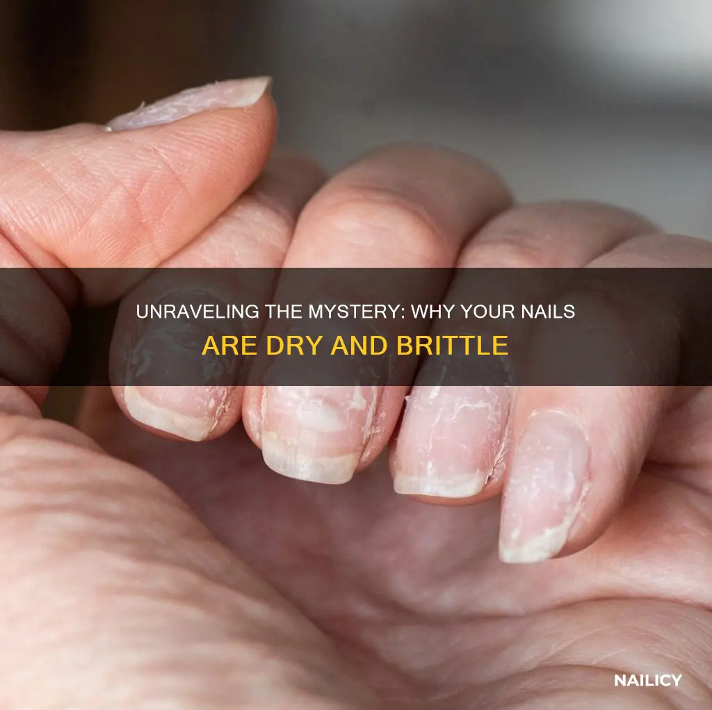 what do dry brittle nails mean