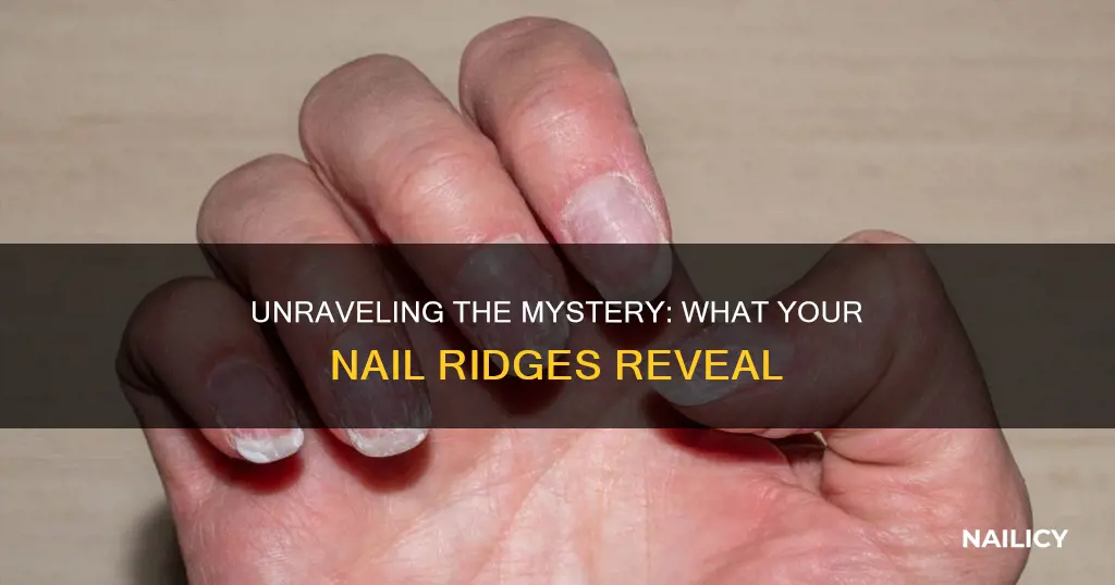 what do finger nail ridges mean