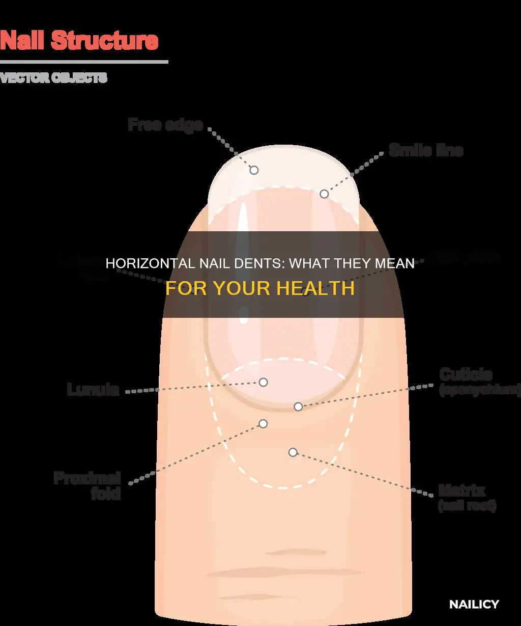 what do horizontal dents in your nails mean