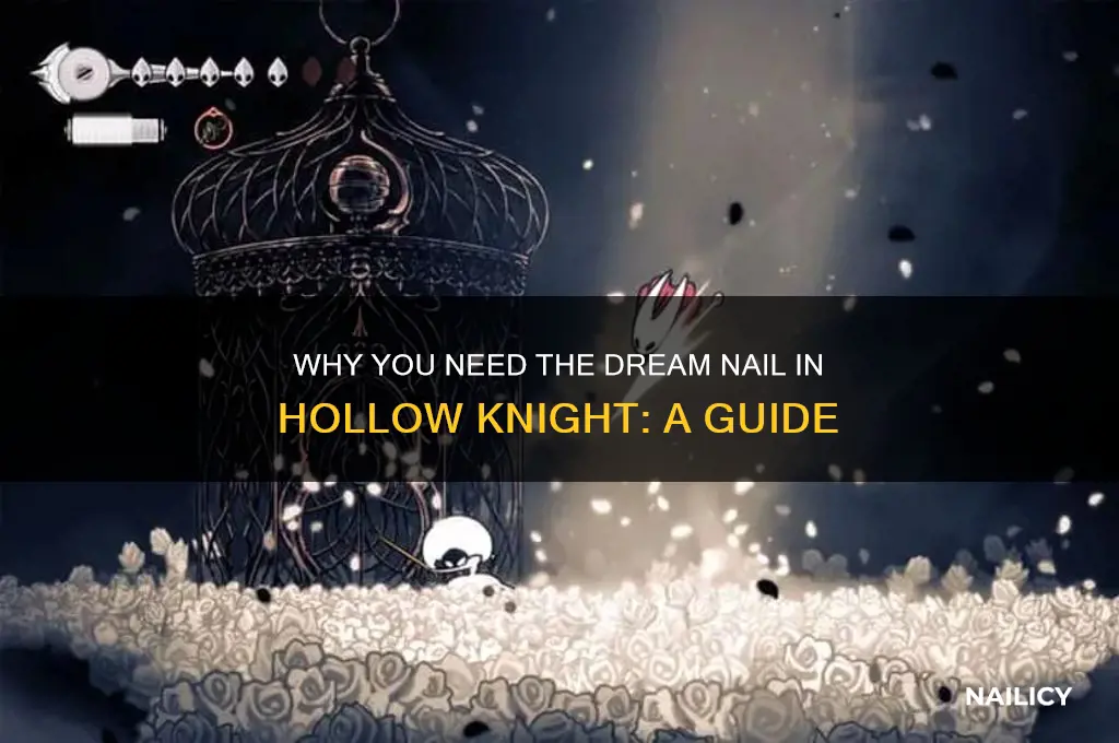 what do i need the dream nail for