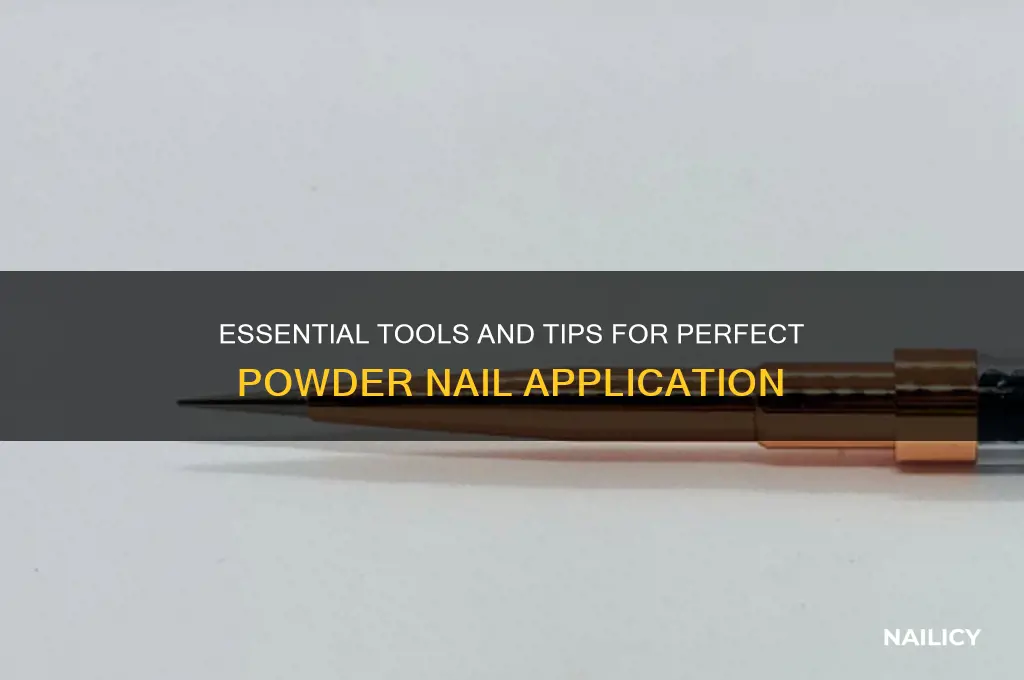 what do i need to powder nails