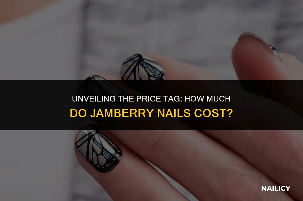 what do jamberry nails cost