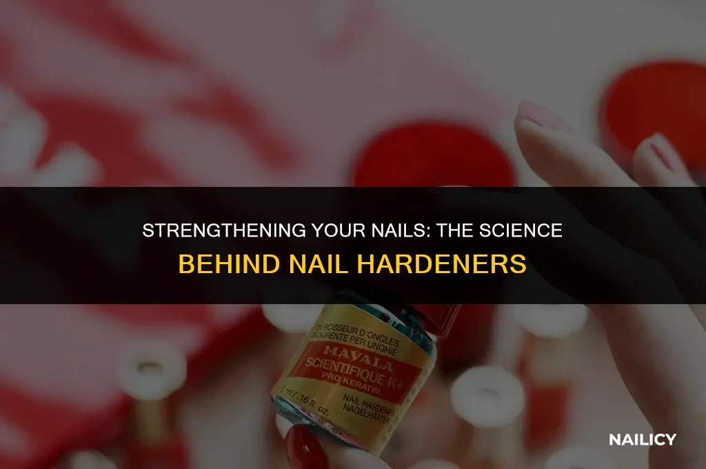 what do nail hardeners do